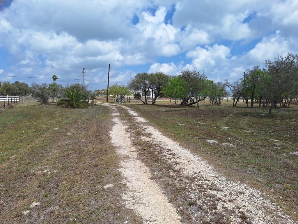 Picture 4