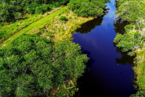 14+ Acres Near the Bay