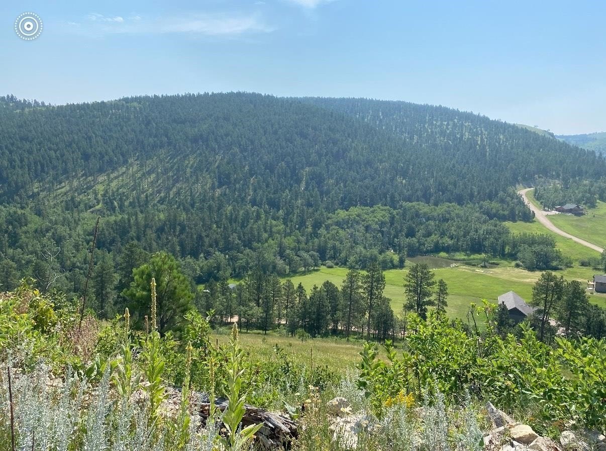 Residential Lot with Mountain Views