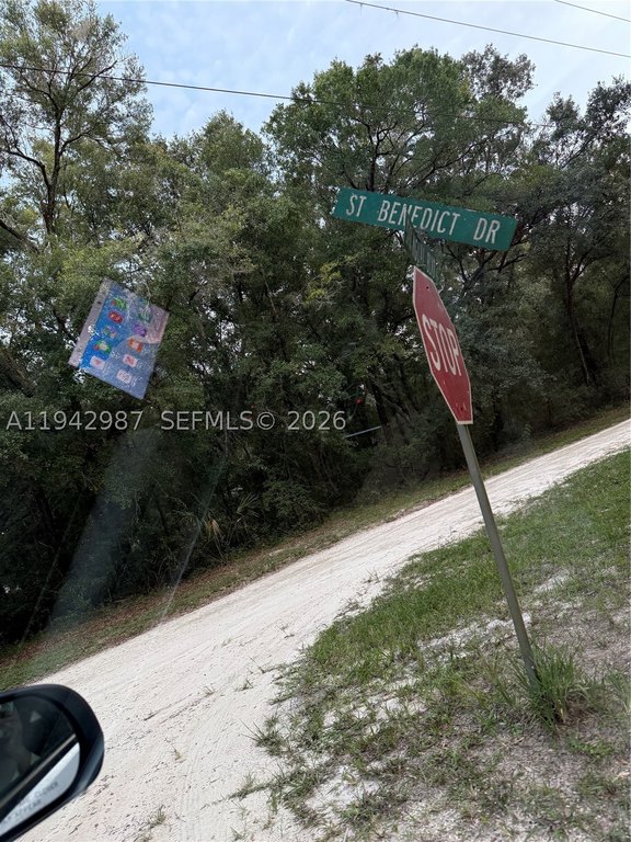 Picture 4