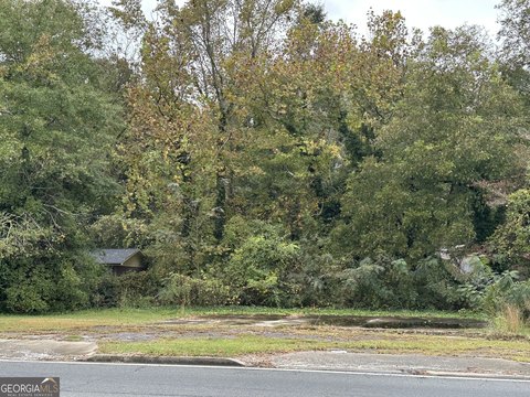 Toccoa Land with Rezoning Potential