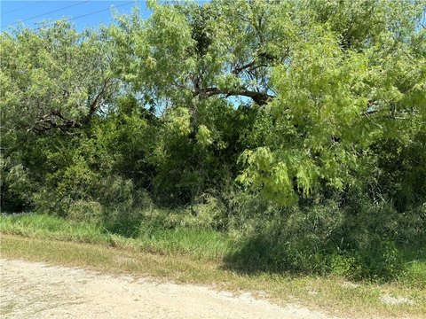 Residential Land Near Water, Bayside