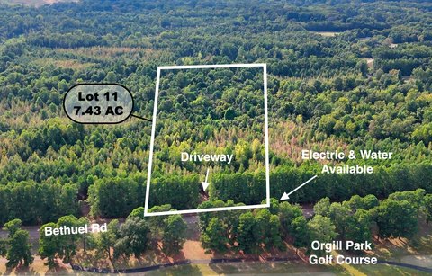 Millington Vacant Land Opportunity
