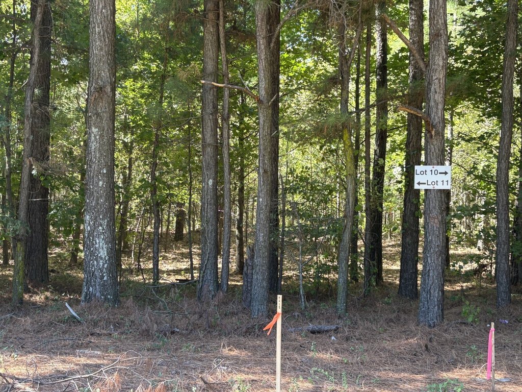 Picture 9