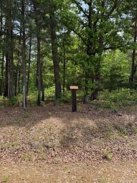LAND - Arkadelphia, AR