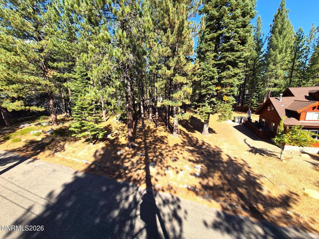 Picture 16