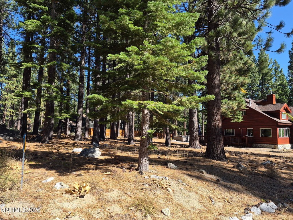 Picture 18