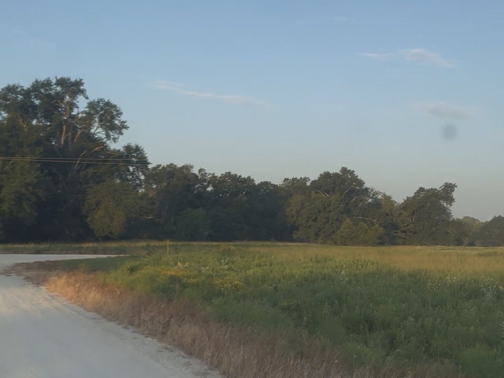 Picture 6
