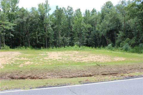 LAND - SALEM, AL