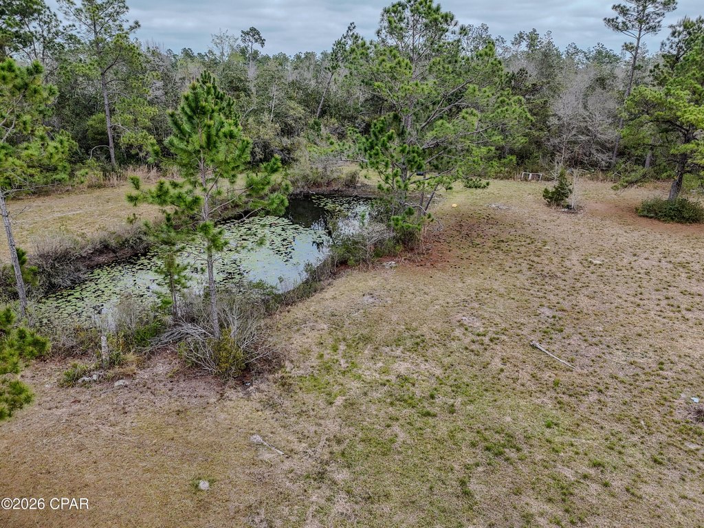 Picture 22