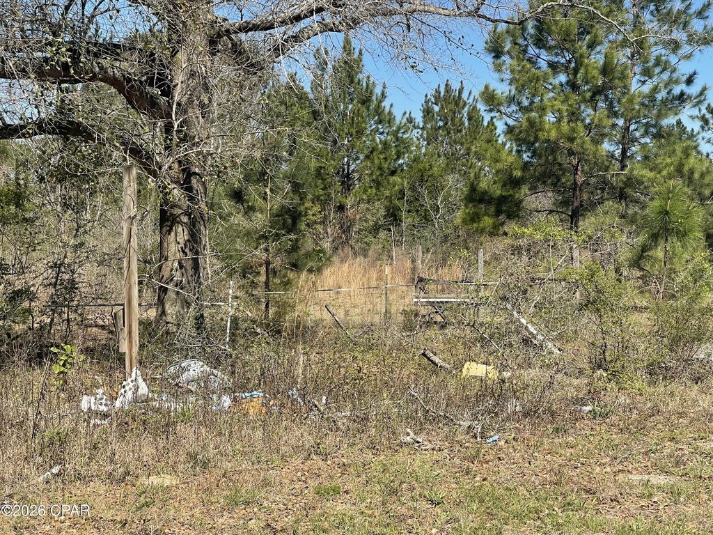 Picture 5