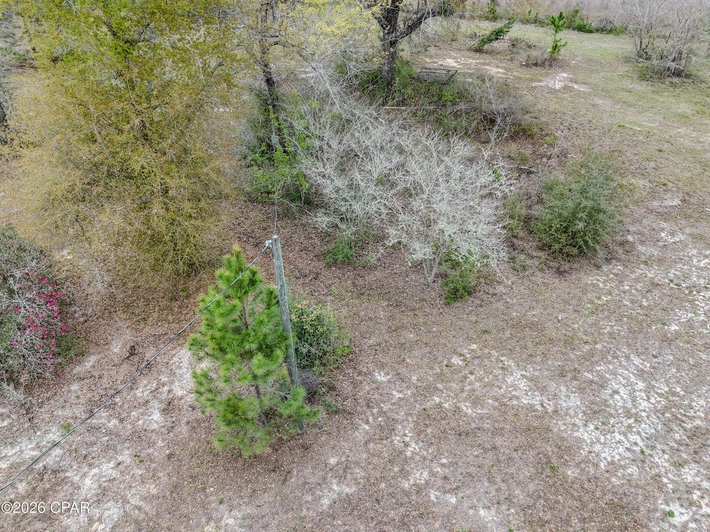 Picture 28