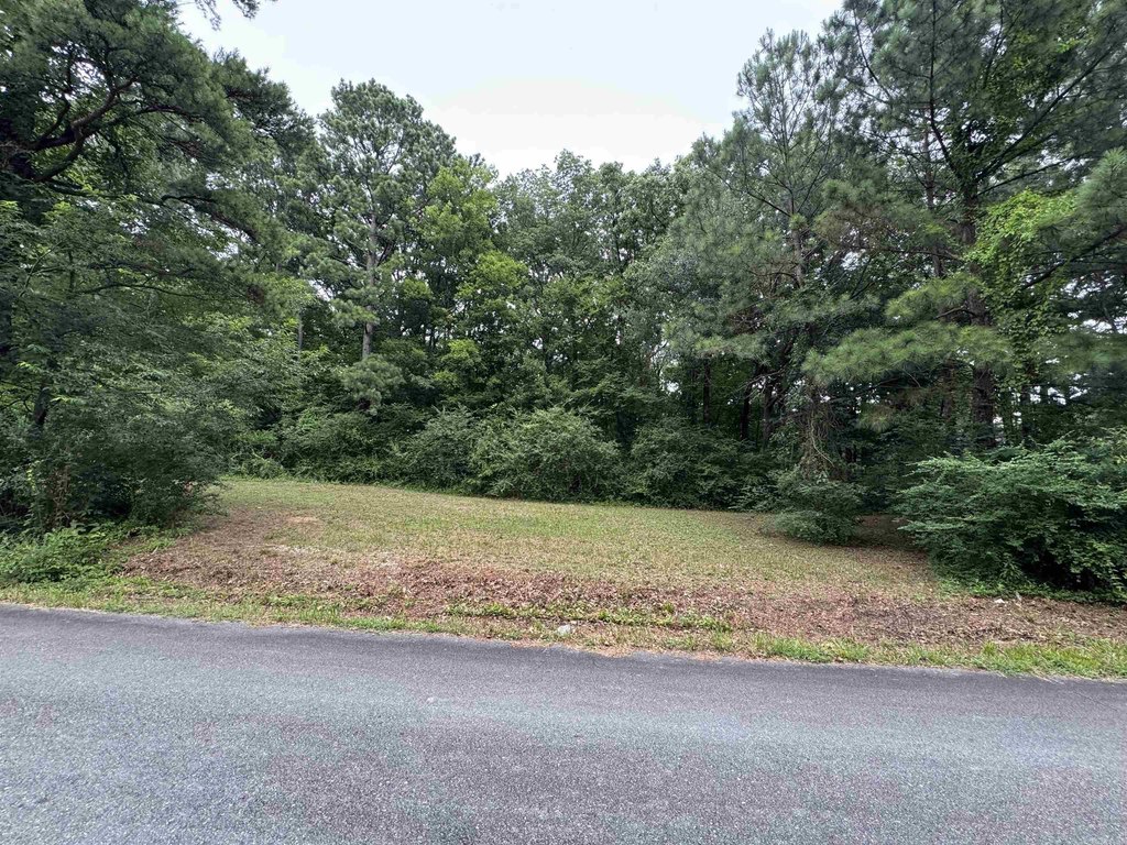 Picture 2