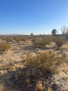 Undeveloped Land Parcel in Inyokern