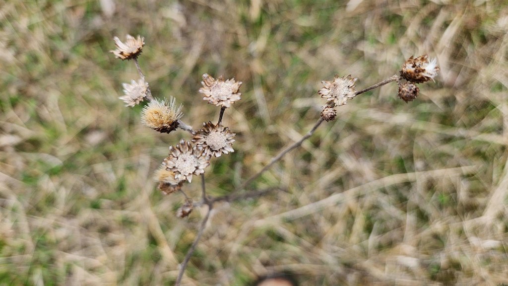 Picture 20