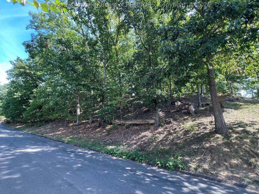 Residential Lot in South Charleston