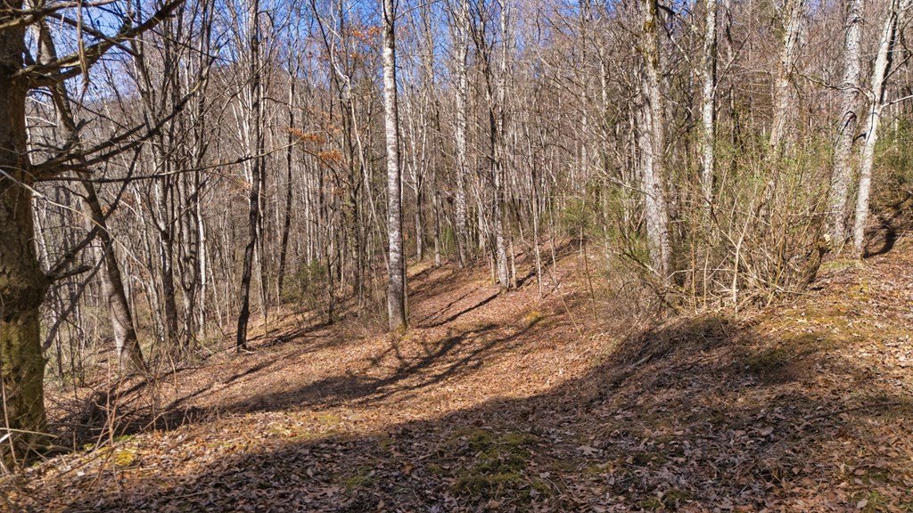 Picture 41