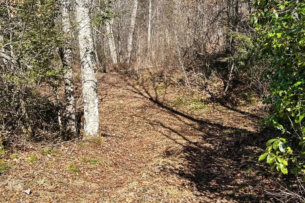 Picture 13