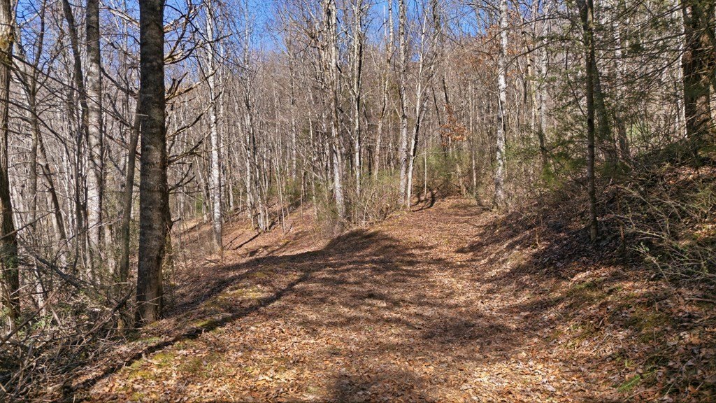 Picture 40