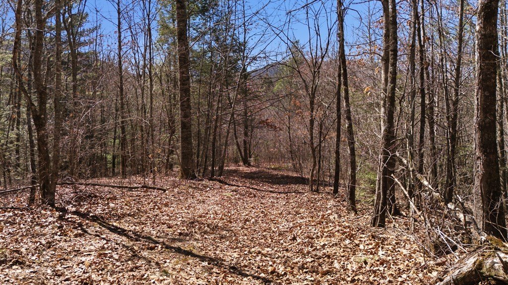 Picture 17