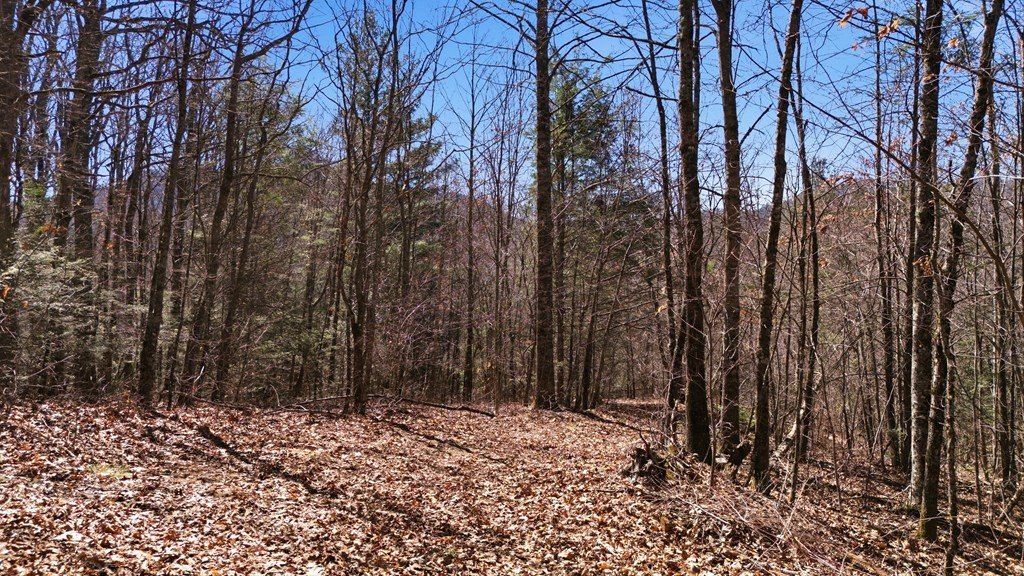 Picture 18