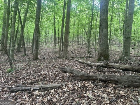 Hardwood Land Tract with Building Sites