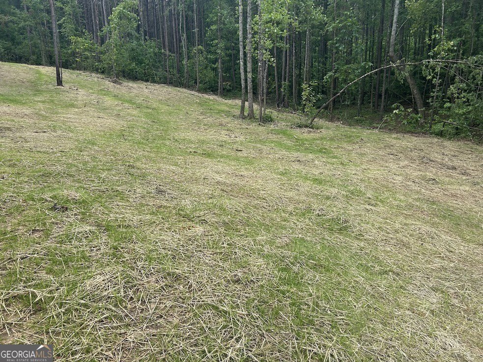 Picture 28