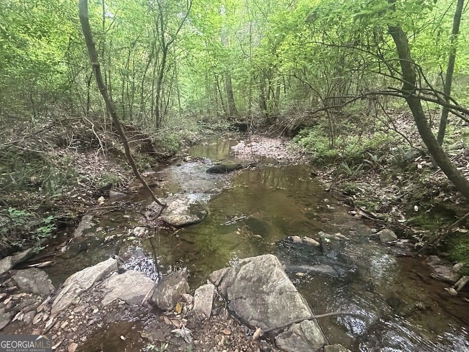 Picture 3