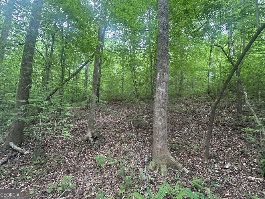 Picture 7
