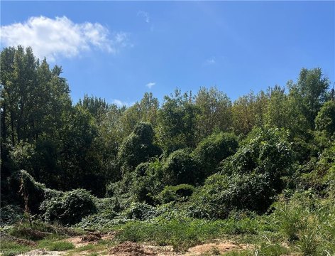 Land, Alma, AR