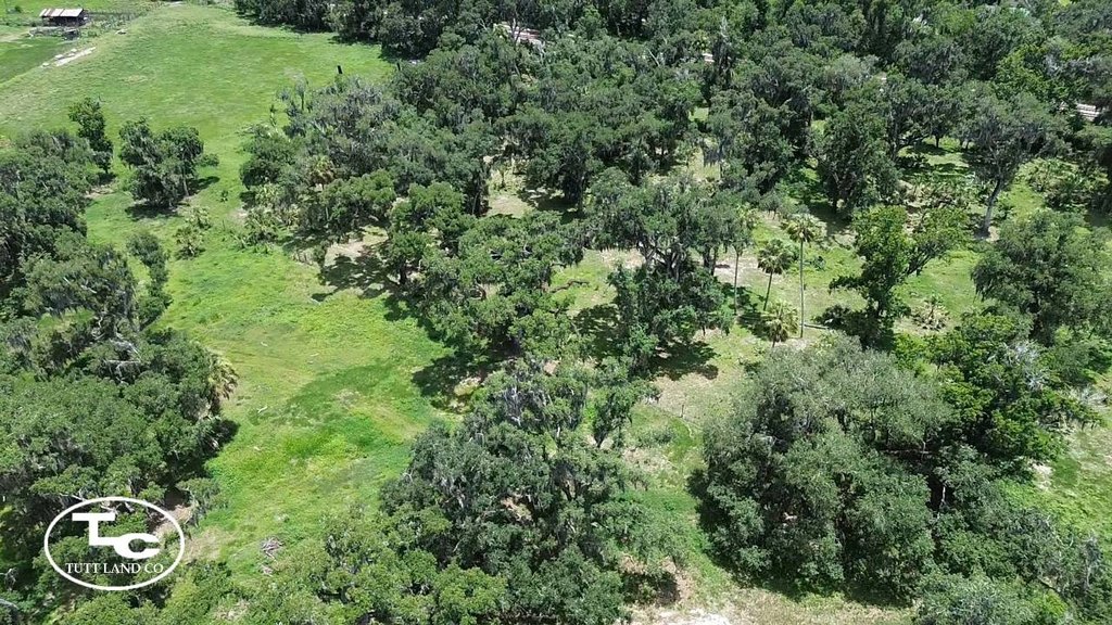Picture 12