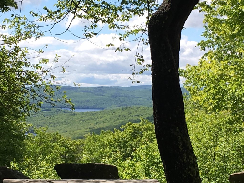 Picture 25