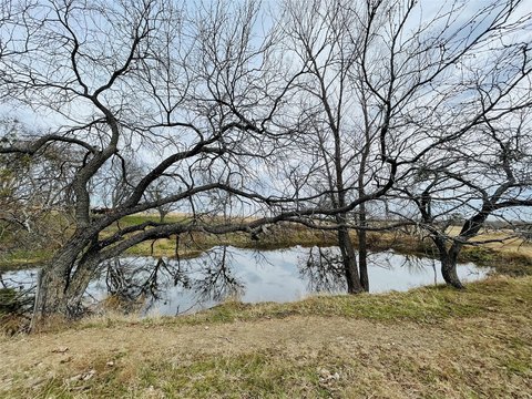 Fenced Cattle Ranch Land