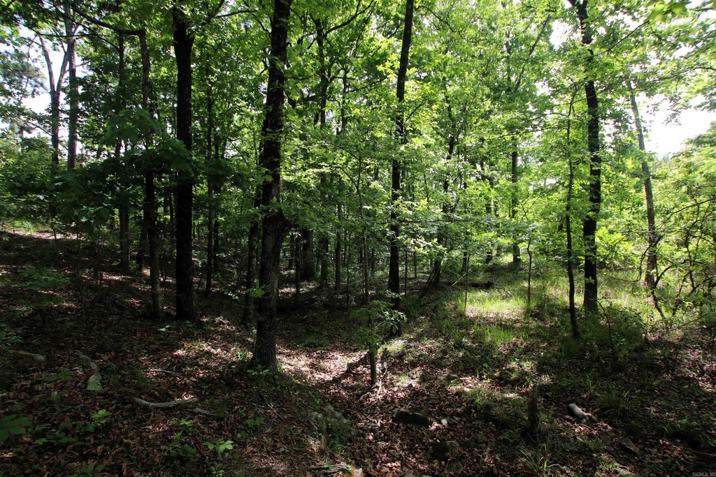 Picture 9
