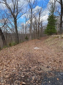 Wooded Land in House Springs