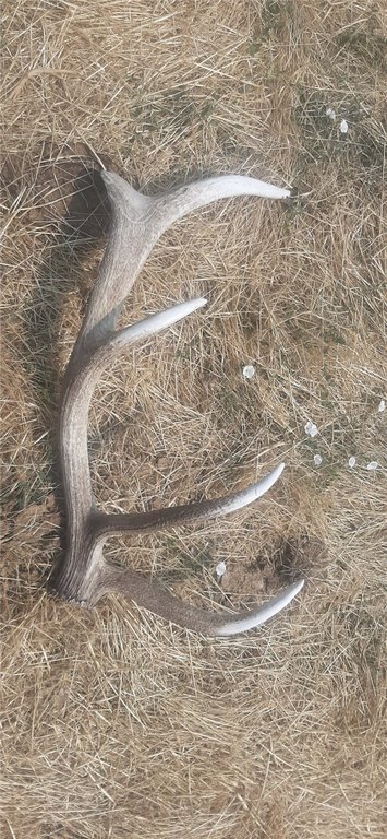 Picture 4