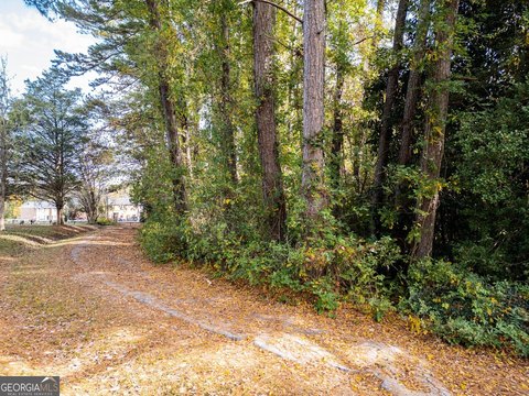 LAND - Covington, GA
