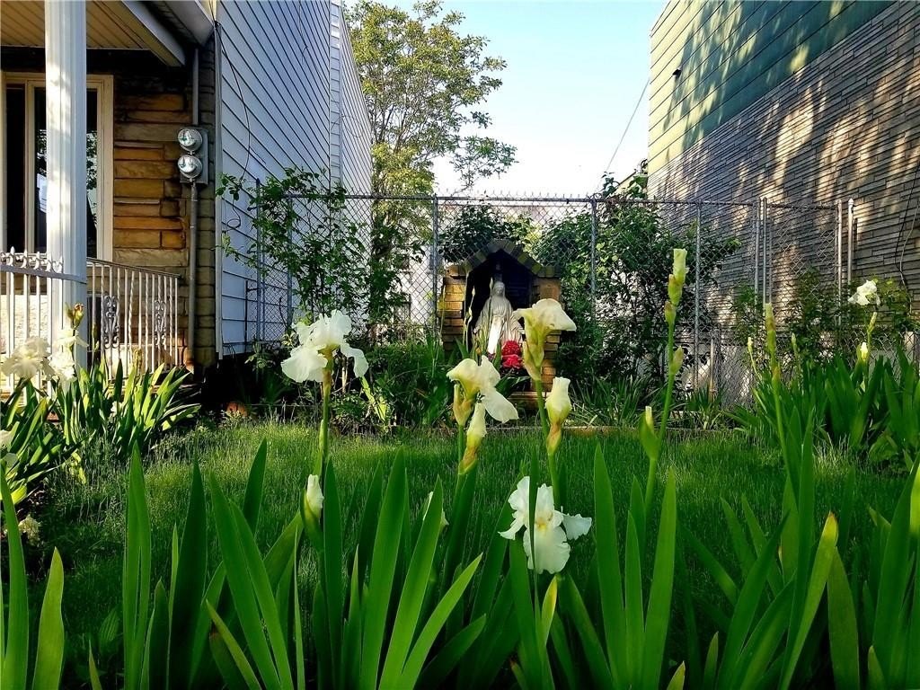 Picture 3