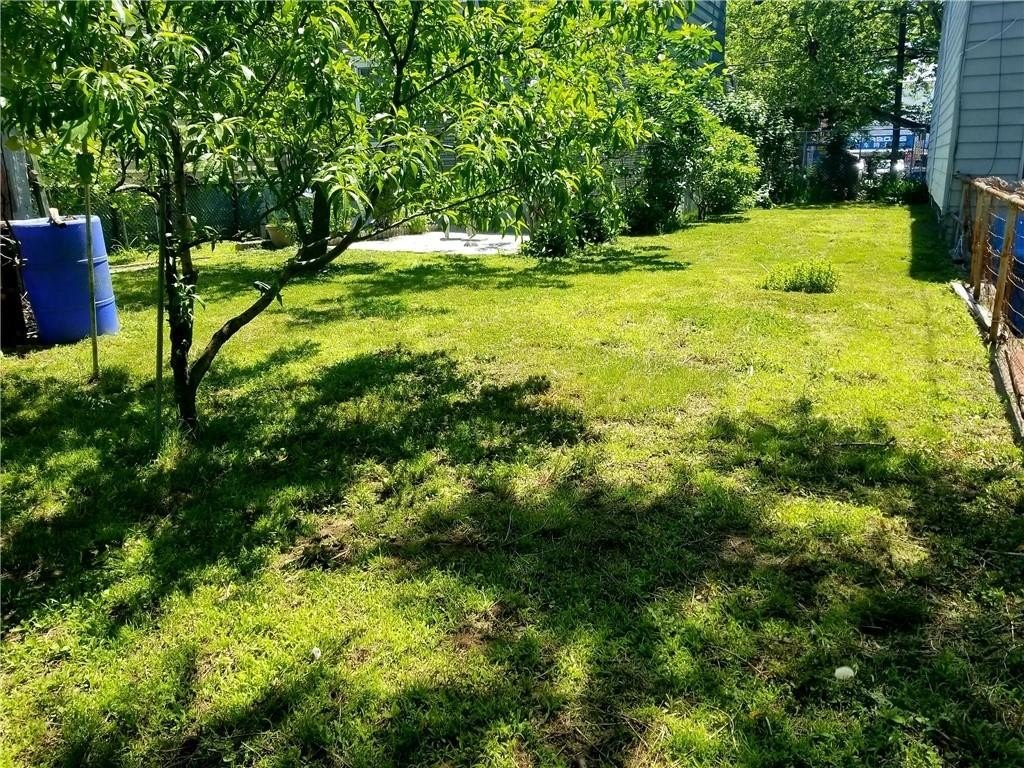 Picture 5