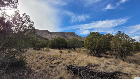 LAND - Mimbres, NM