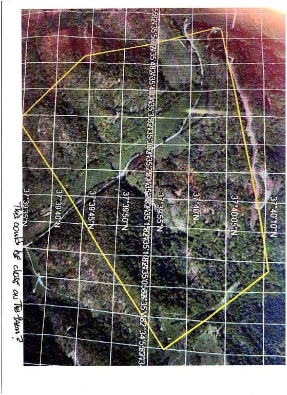 Picture 7