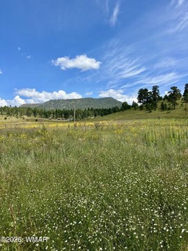 Recreation Land with Seasonal RV Use