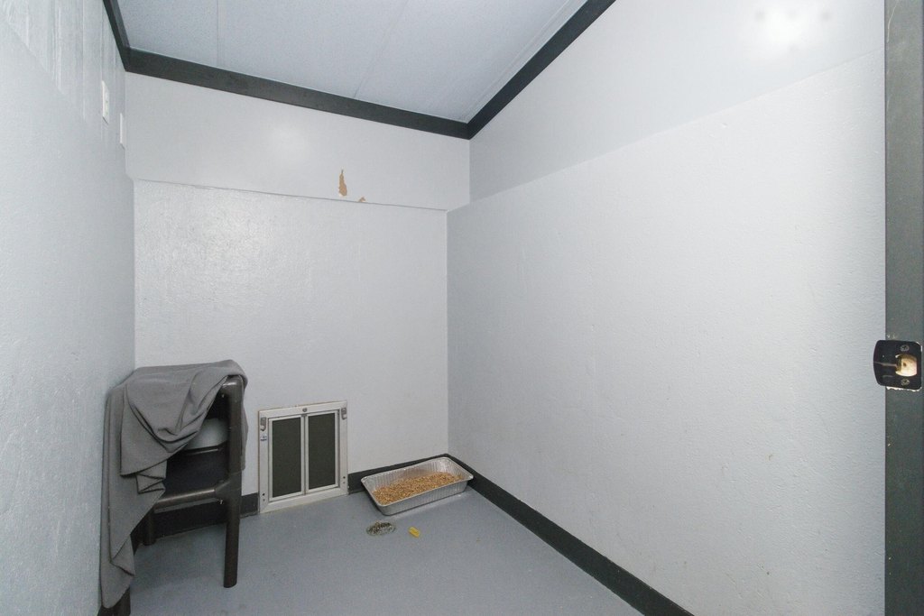 Picture 36