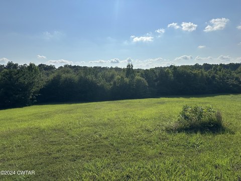 Residential Land in Henderson, TN