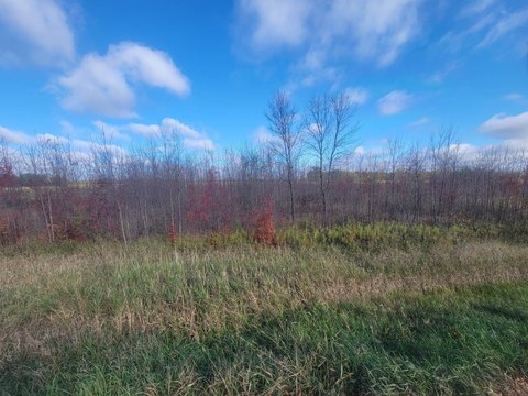 Agricultural Land Near Highway Access
