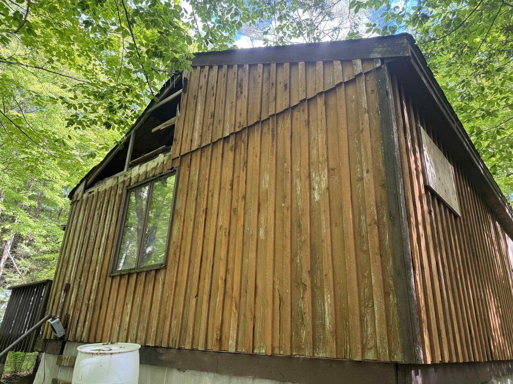 Picture 2