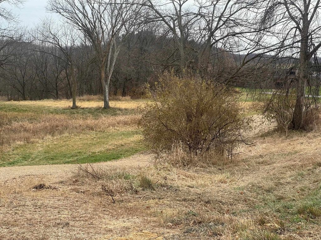 Picture 18