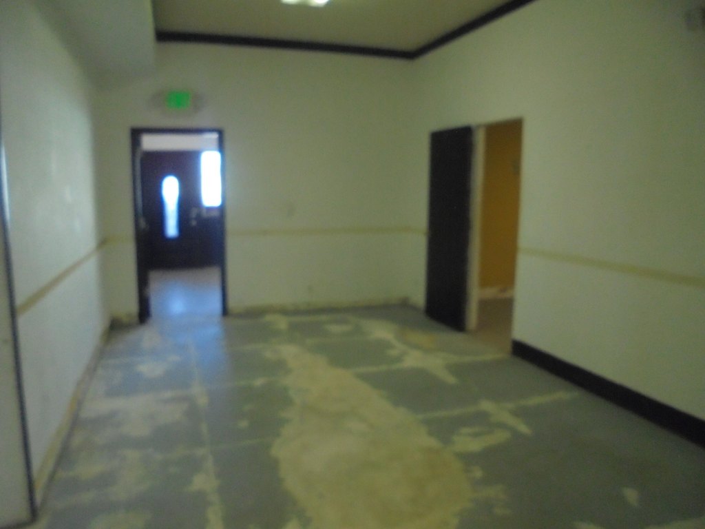 Picture 15