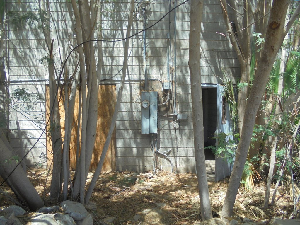 Picture 23