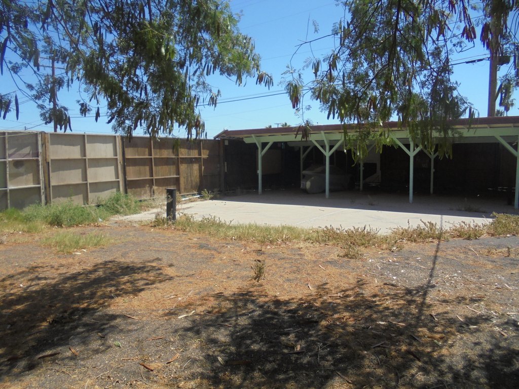 Picture 19
